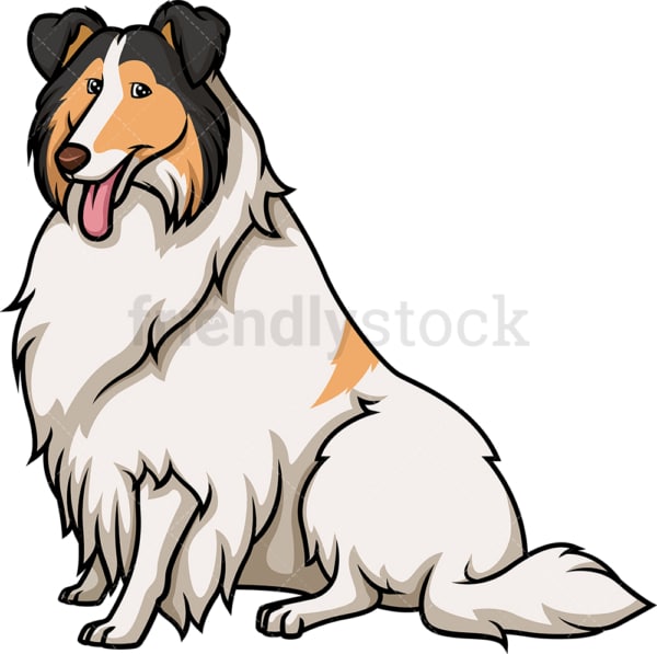 Obedient collie sitting. PNG - JPG and vector EPS (infinitely scalable).