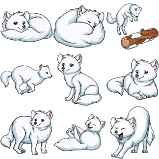 Arctic fox. PNG - JPG and vector EPS file formats (infinitely scalable).