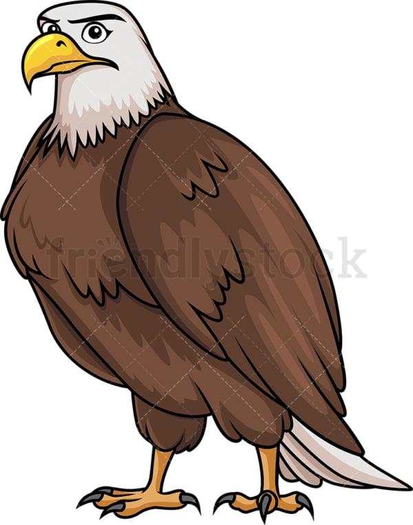 Brave bald eagle. PNG - JPG and vector EPS (infinitely scalable).