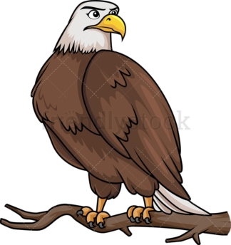 Bald eagle on tree branch. PNG - JPG and vector EPS (infinitely scalable).