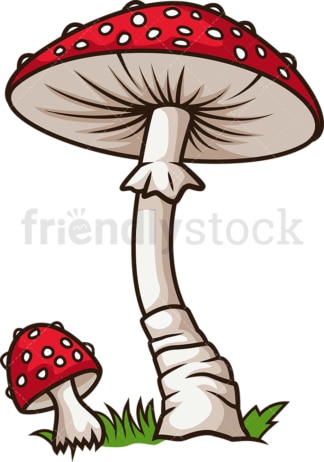 Amanita mushroom. PNG - JPG and vector EPS file formats (infinitely scalable). Image isolated on transparent background.