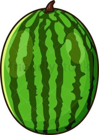 Watermelon fruit. PNG - JPG and vector EPS file formats (infinitely scalable). Image isolated on transparent background.