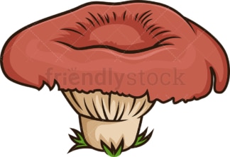 Weird forest mushroom. PNG - JPG and vector EPS file formats (infinitely scalable). Image isolated on transparent background.