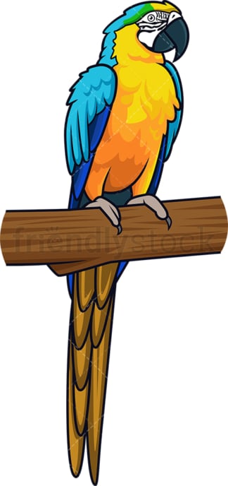 Blue and yellow macaw. PNG - JPG and vector EPS (infinitely scalable).