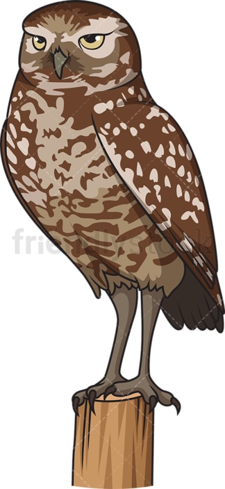 Burrowing Owl Cartoon Vector Clipart - FriendlyStock