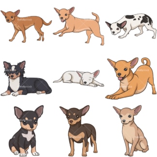 Cartoon chihuahua dogs. PNG - JPG and infinitely scalable vector EPS - on white or transparent background.