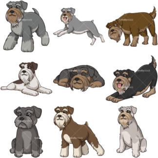 Cartoon standard schnauzer dogs. PNG - JPG and infinitely scalable vector EPS - on white or transparent background.