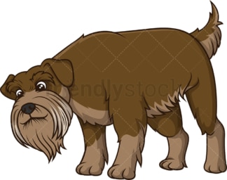 Brown schnauzer sniffing. PNG - JPG and vector EPS (infinitely scalable).