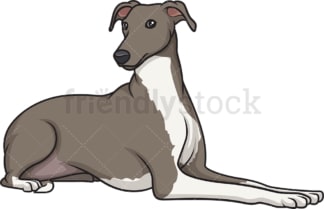 Greyhound lying down. PNG - JPG and vector EPS (infinitely scalable).