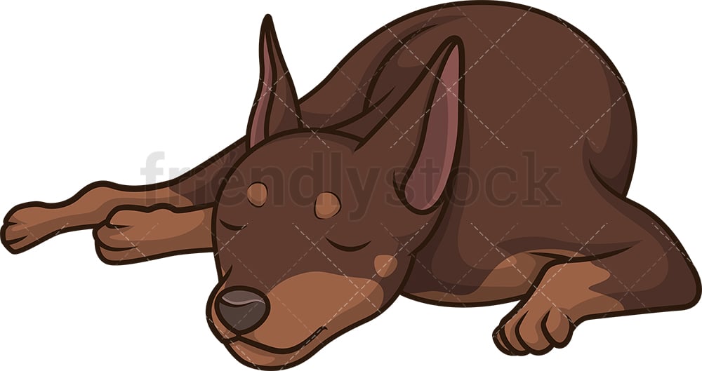 ミニピンシャー睡眠漫画クリップアートベクトル Friendlystock