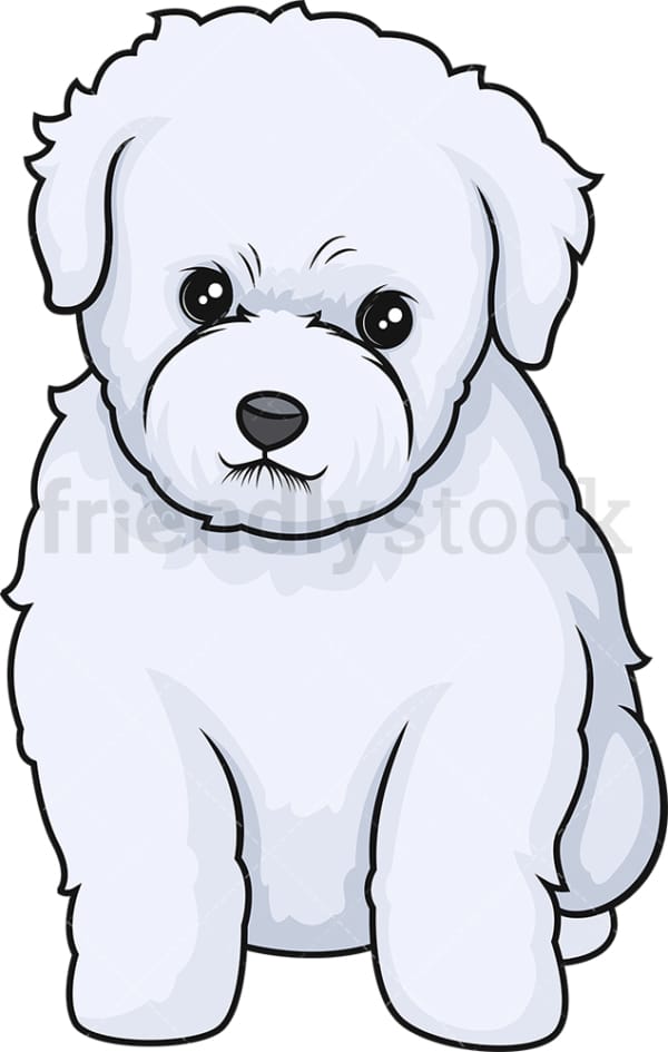 Cute bichon frise puppy. PNG - JPG and vector EPS (infinitely scalable).