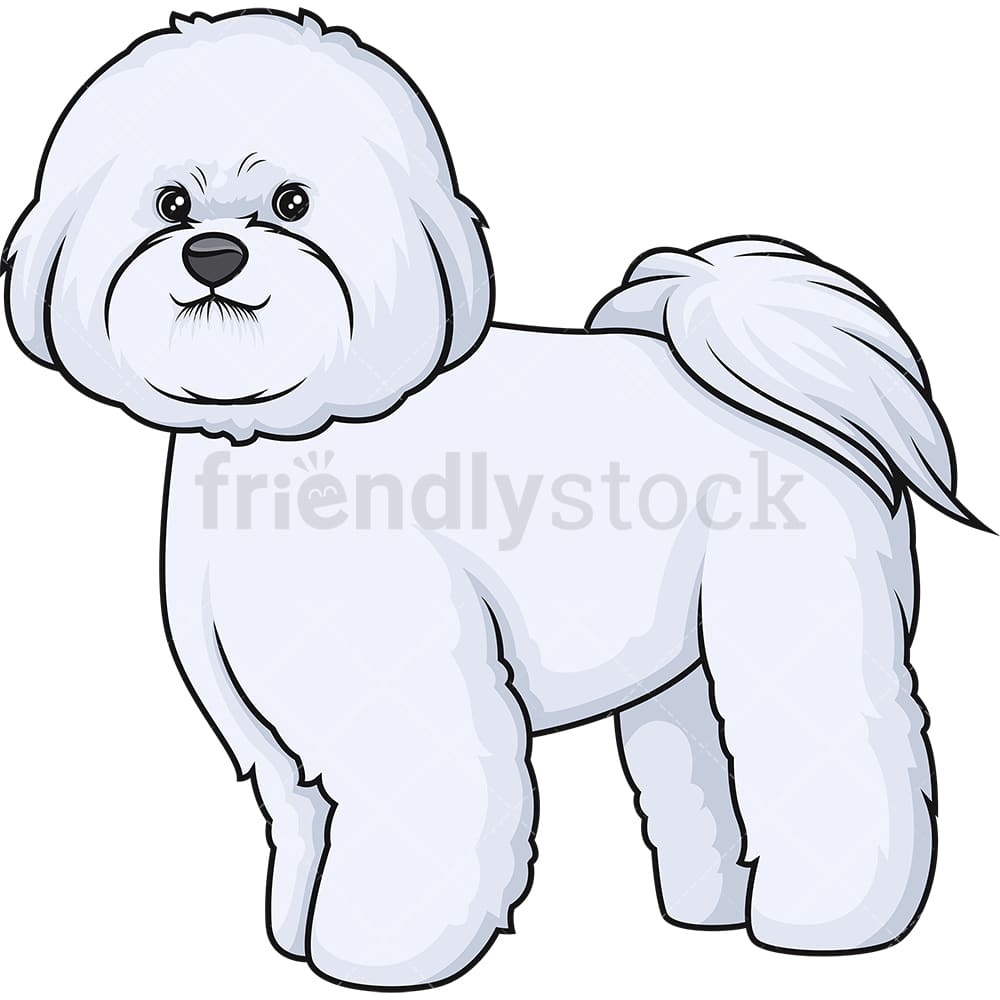 誇り高きビションフリーゼ漫画クリップアートベクトル Friendlystock