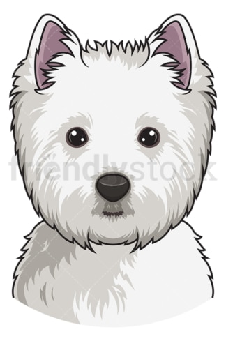 West highland white terrier face. PNG - JPG and vector EPS (infinitely scalable).