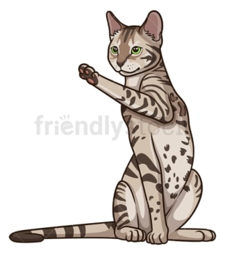 Playful bengal cat. PNG - JPG and vector EPS (infinitely scalable).
