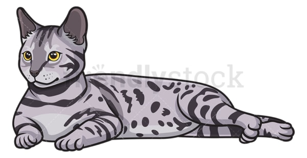Bengal cat lying down. PNG - JPG and vector EPS (infinitely scalable).