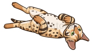 Bengal cat lying on its back. PNG - JPG and vector EPS (infinitely scalable).
