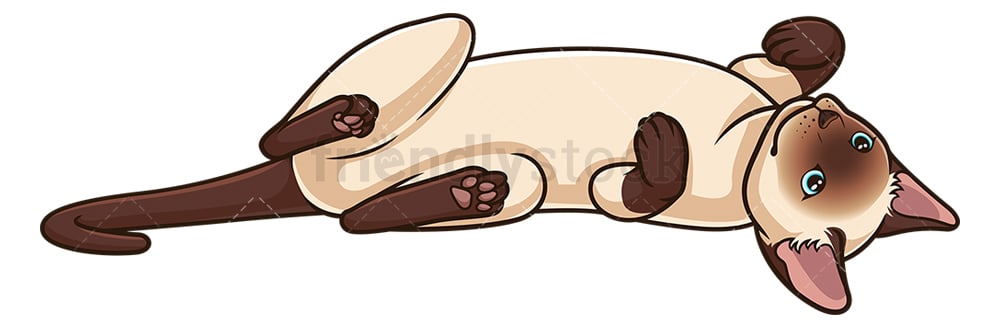 Siamese Cat Lying On Its Back Cartoon Clipart Vector FriendlyStock