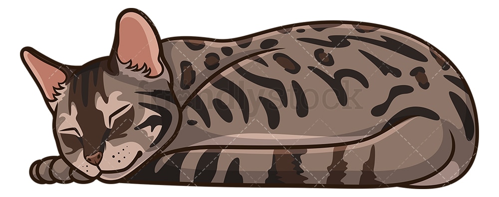 Bengal Cat Sleeping Cartoon Clipart Vector Friendlystock