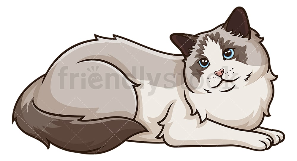 好奇心が強いラグドール猫漫画クリップアートベクトル Friendlystock