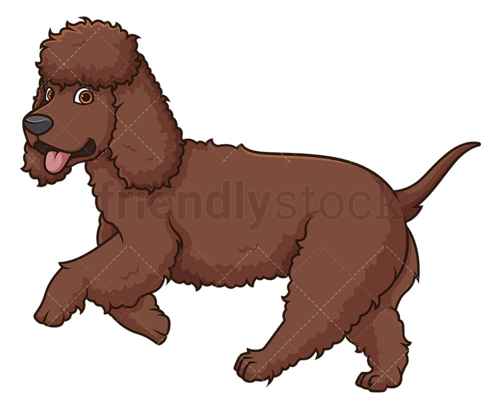 Lustige Irish Water Spaniel Grußkarte Von Bryn Parry – Perfekt Für Hundeliebhaber
