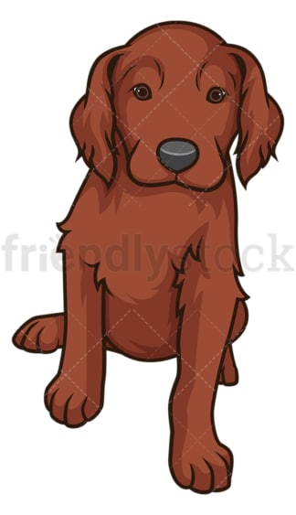 Cute irish setter puppy. PNG - JPG and vector EPS (infinitely scalable).