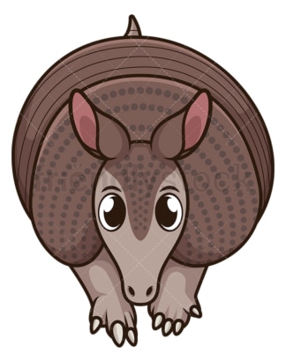 Armadillo front view. PNG - JPG and vector EPS (infinitely scalable).