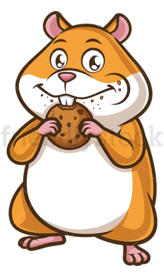 Hamster eating cookie. PNG - JPG and vector EPS (infinitely scalable).
