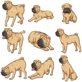 Shar pei dogs. PNG - JPG and vector EPS file formats (infinitely scalable).