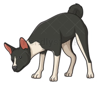 Basenji dog sniffing. PNG - JPG and vector EPS (infinitely scalable).