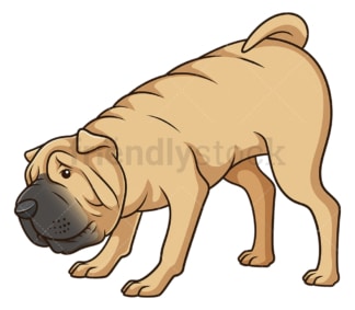 Shar pei dog sniffing. PNG - JPG and vector EPS (infinitely scalable).