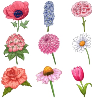Common flowers 2. PNG - JPG and infinitely scalable vector EPS - on white or transparent background.