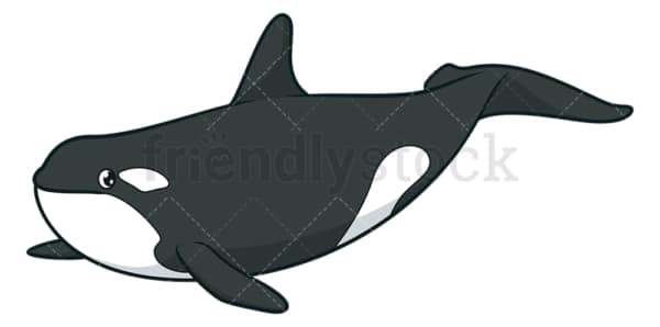 Killer whale orca. PNG - JPG and vector EPS (infinitely scalable).