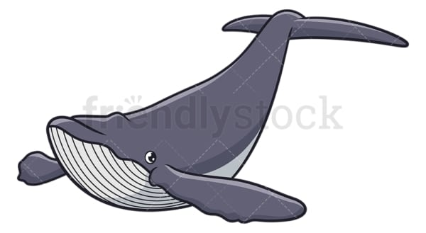 Humpback whale. PNG - JPG and vector EPS (infinitely scalable).