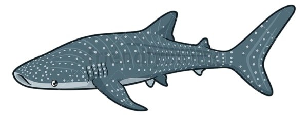Whale shark. PNG - JPG and vector EPS (infinitely scalable).