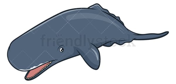 Sperm whale. PNG - JPG and vector EPS (infinitely scalable).