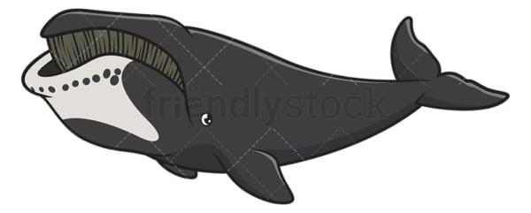 Bowhead whale. PNG - JPG and vector EPS (infinitely scalable).