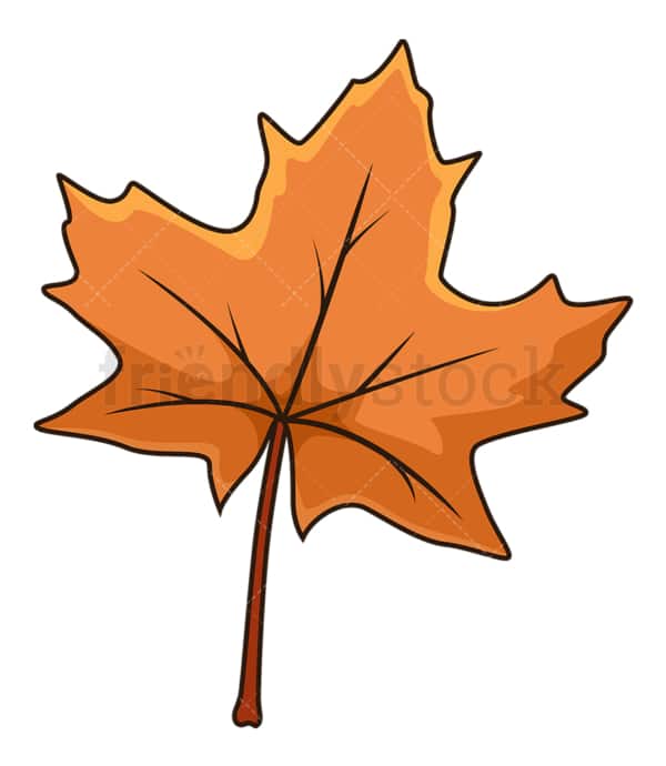 Brown autumn maple leaf. PNG - JPG and vector EPS file formats (infinitely scalable). Image isolated on transparent background.