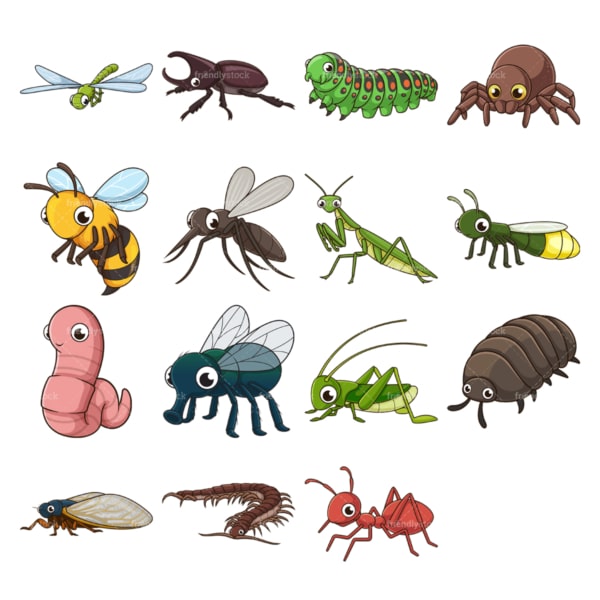 Cute insects. PNG - JPG and vector EPS file formats (infinitely scalable). Images isolated on transparent background.