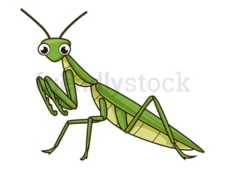Cute praying mantis. PNG - JPG and vector EPS file formats (infinitely scalable). Image isolated on transparent background.