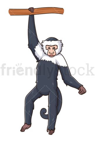 Playful capuchin monkey. PNG - JPG and vector EPS (infinitely scalable).